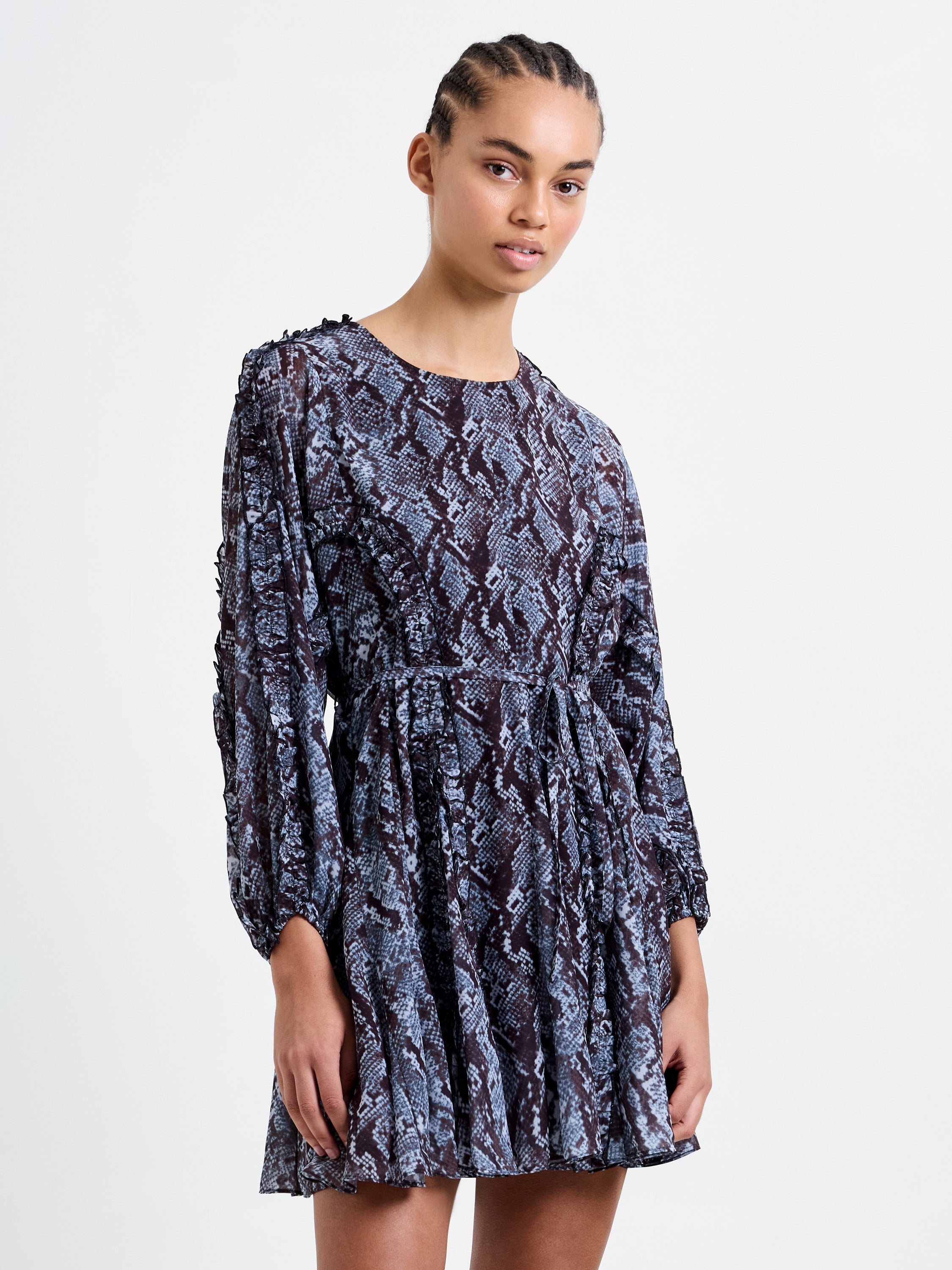 Snake Print Long Sleeve Mini Dress
