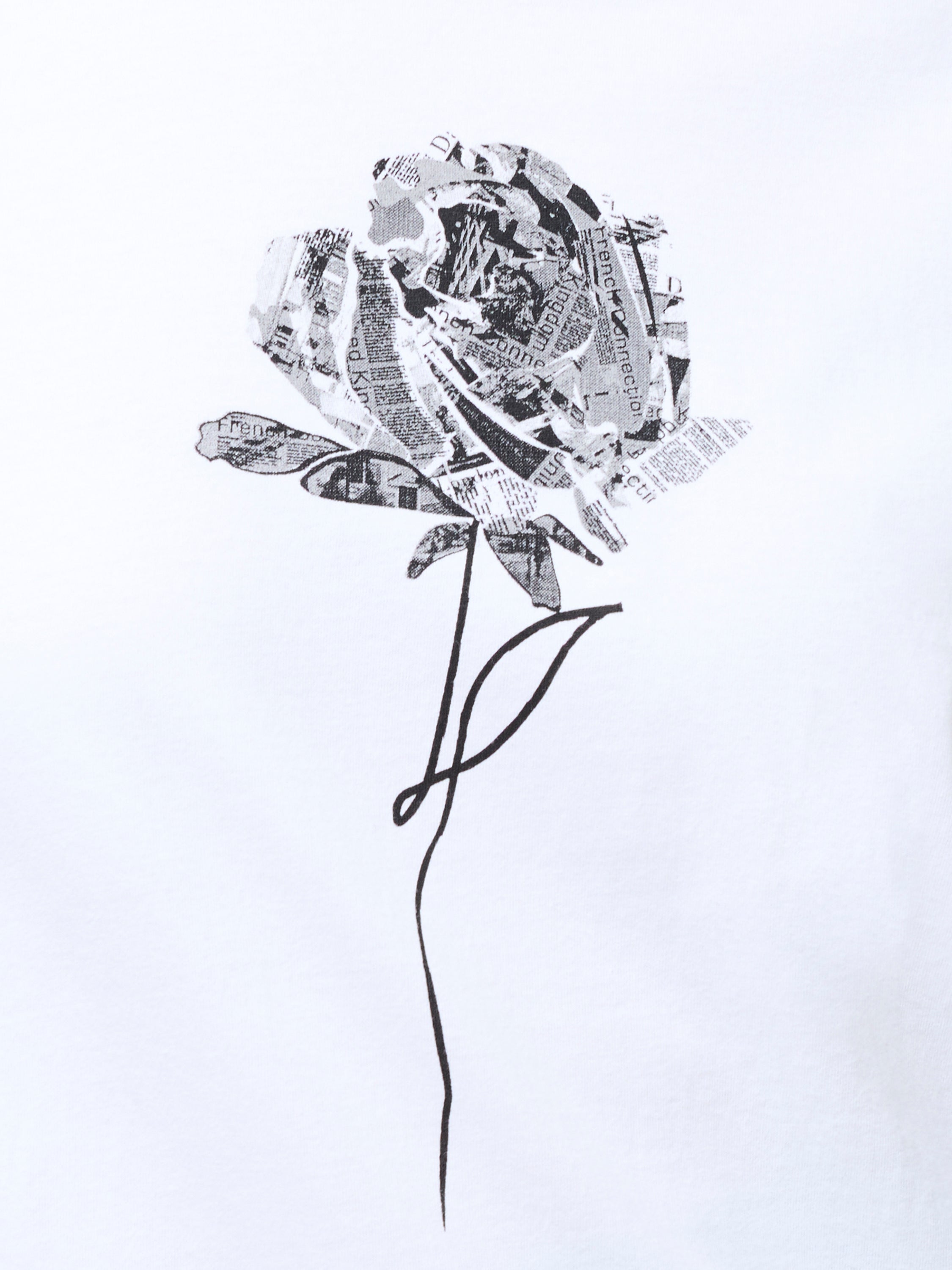 Rose Print Graphic T-Shirt