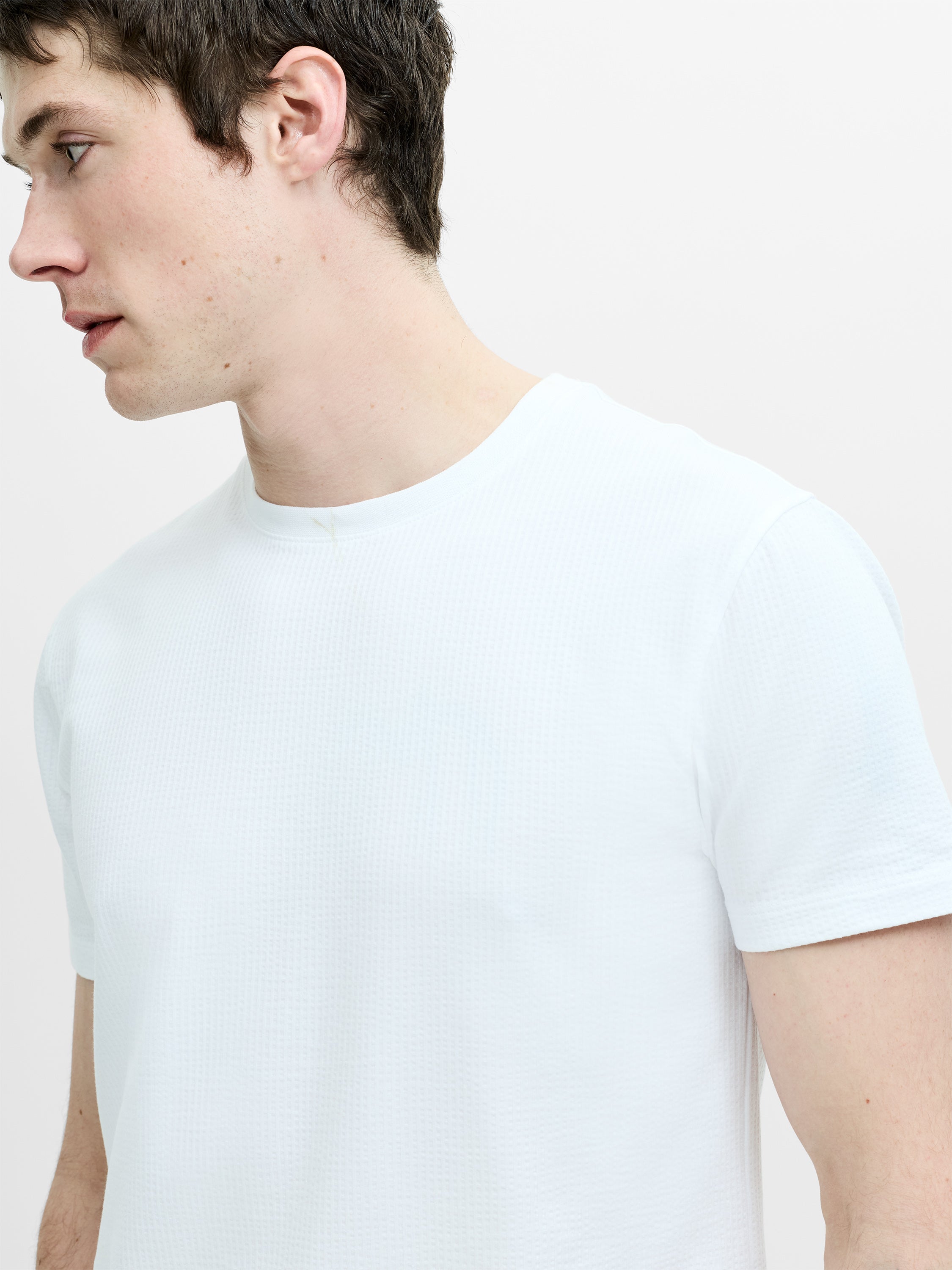 Short Sleeve Micro Seersucker Stripe T-Shirt