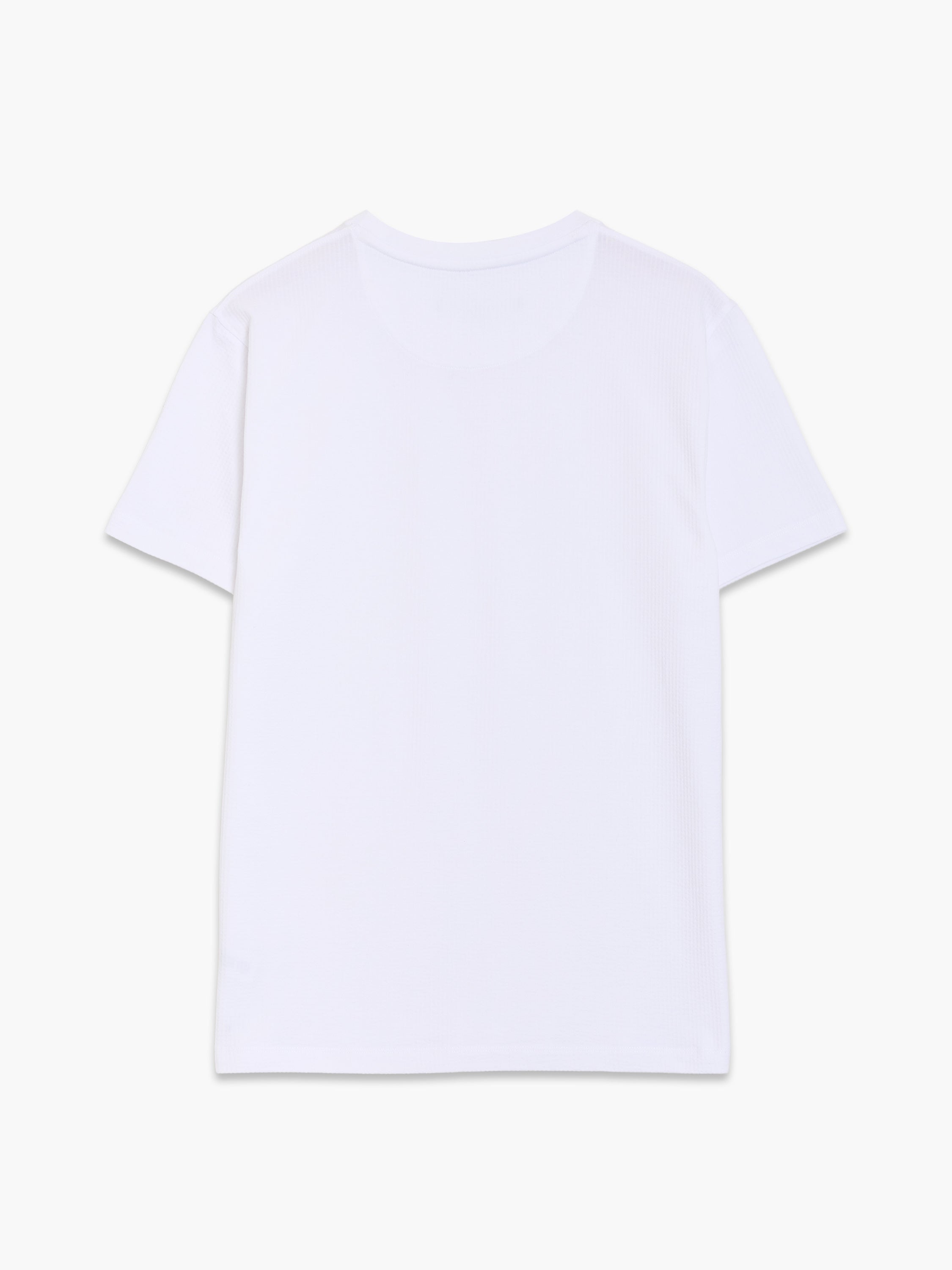 Short Sleeve Micro Seersucker Stripe T-Shirt