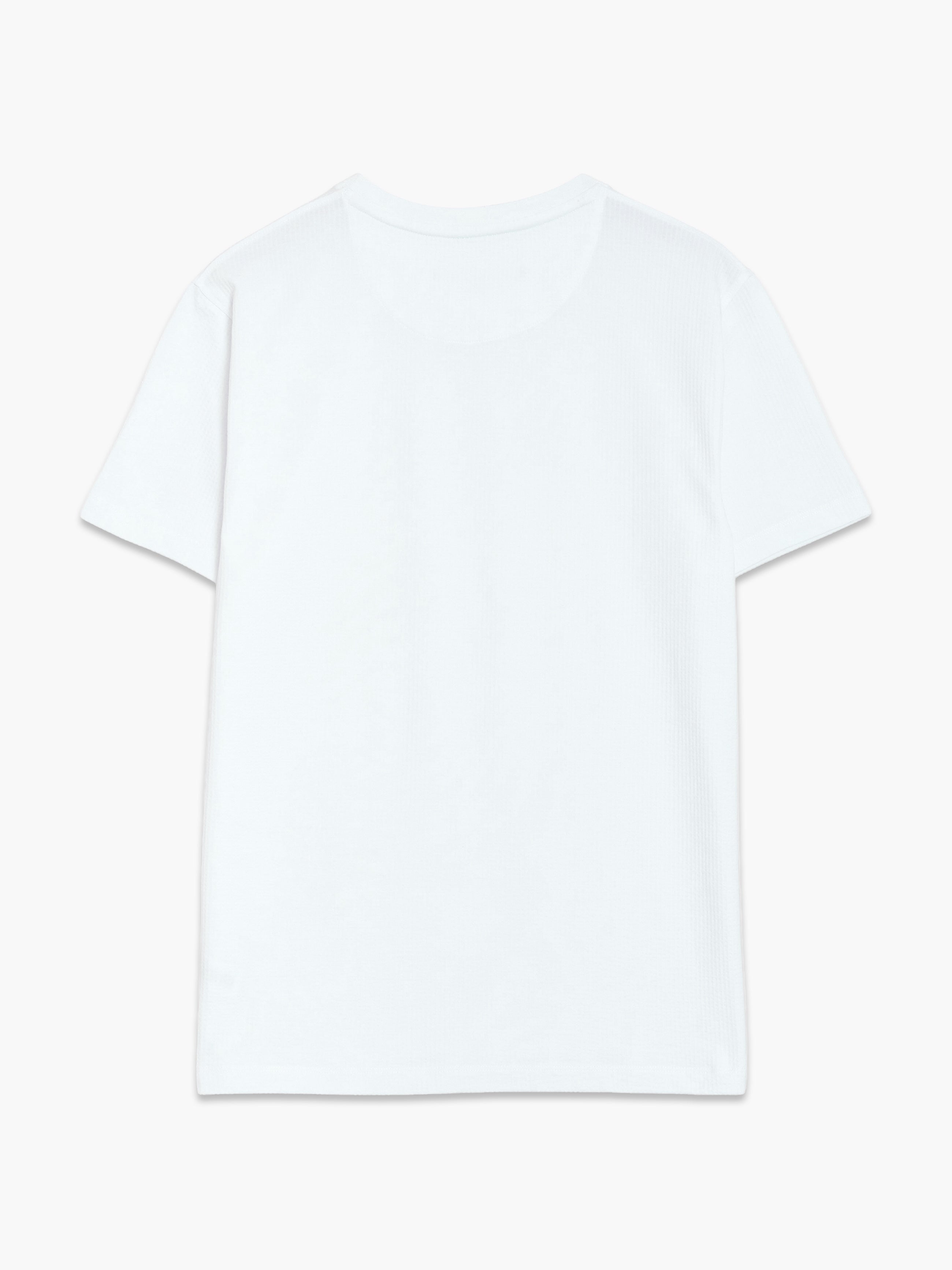 Short Sleeve Micro Seersucker Stripe T-Shirt