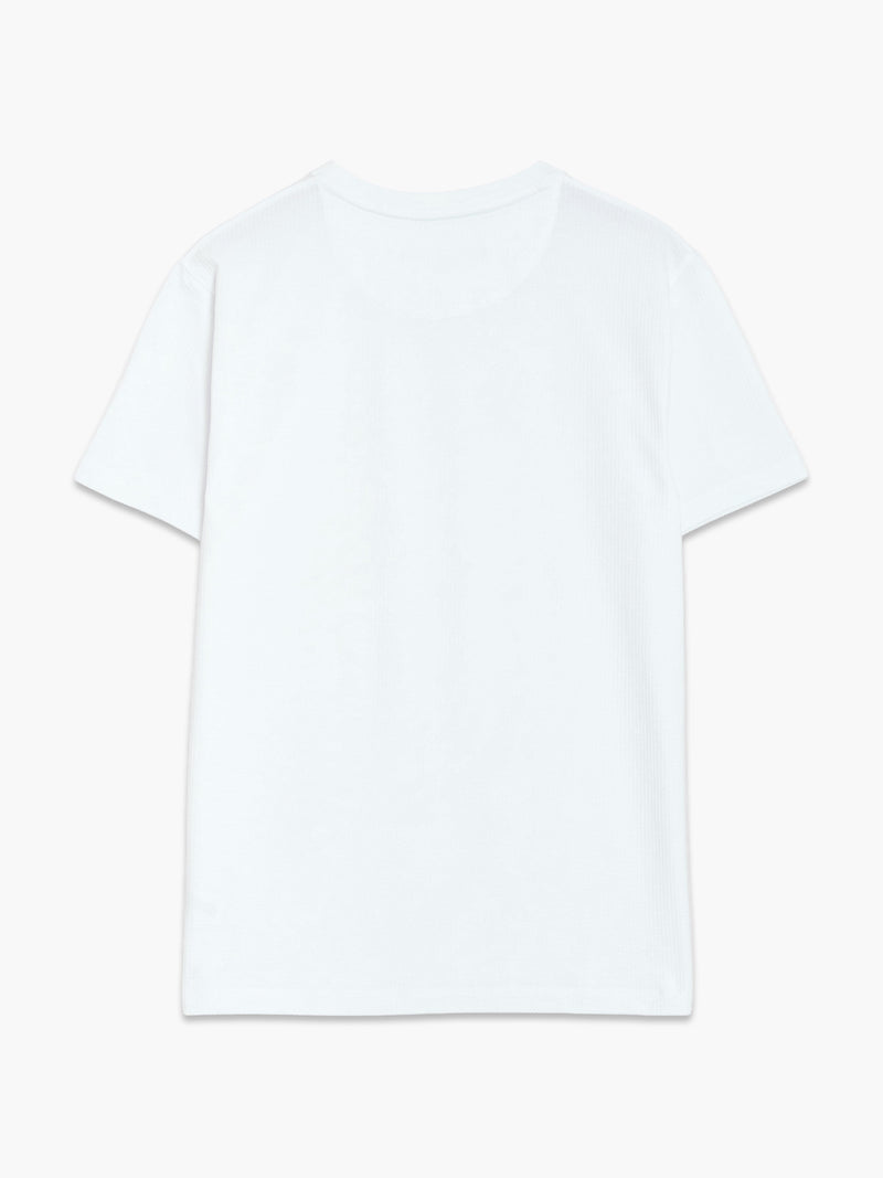 Short Sleeve Micro Seersucker Stripe T-Shirt