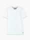 Short Sleeve Micro Seersucker Stripe T-Shirt