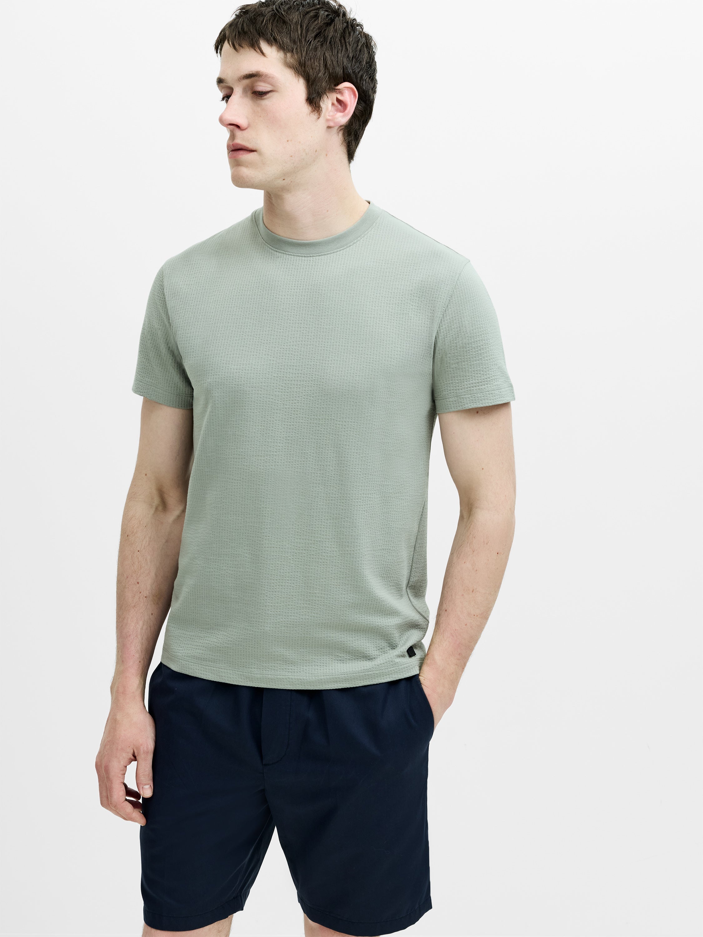 Short Sleeve Micro Seersucker Stripe T-Shirt