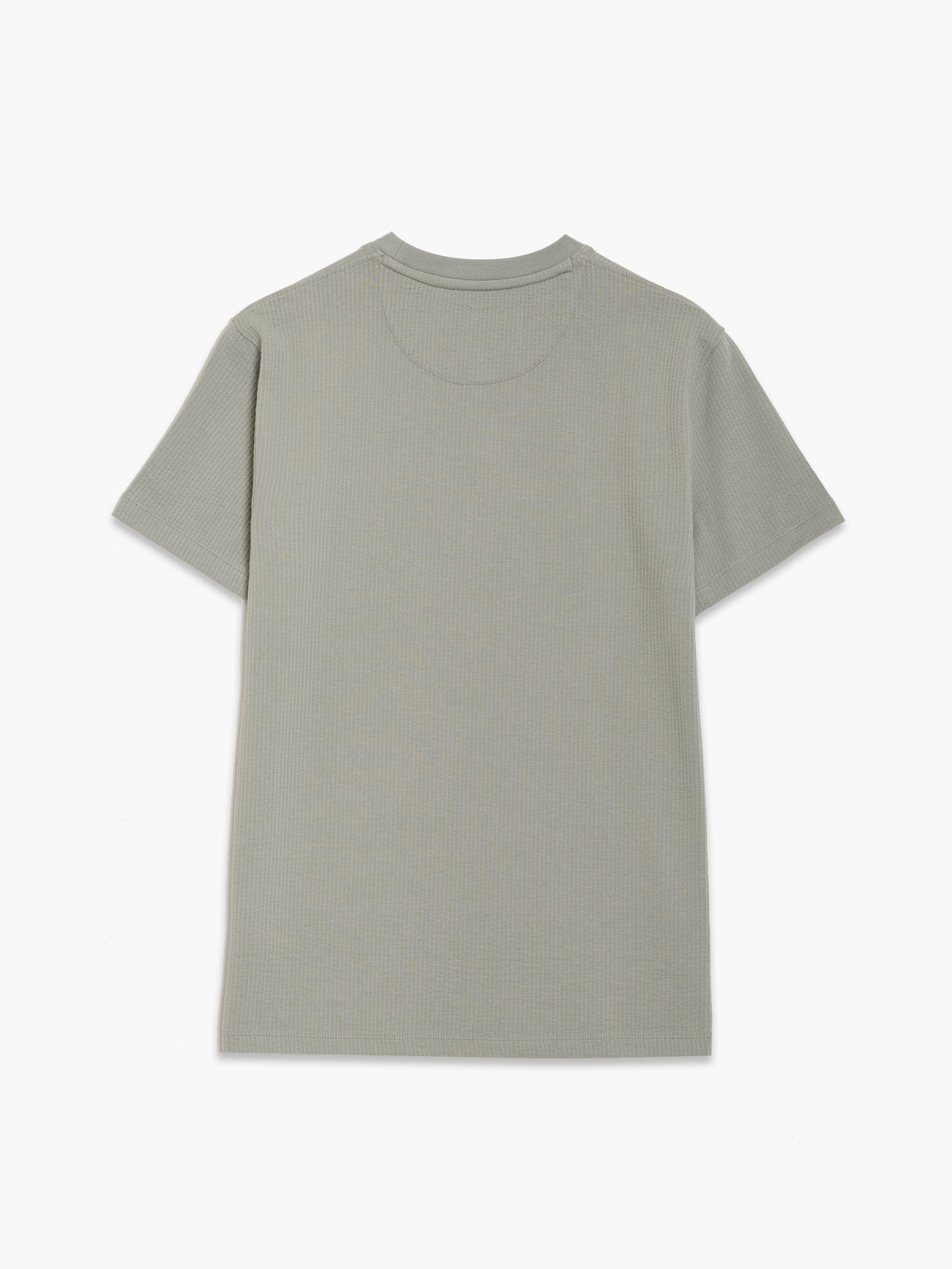 Short Sleeve Micro Seersucker Stripe T-Shirt