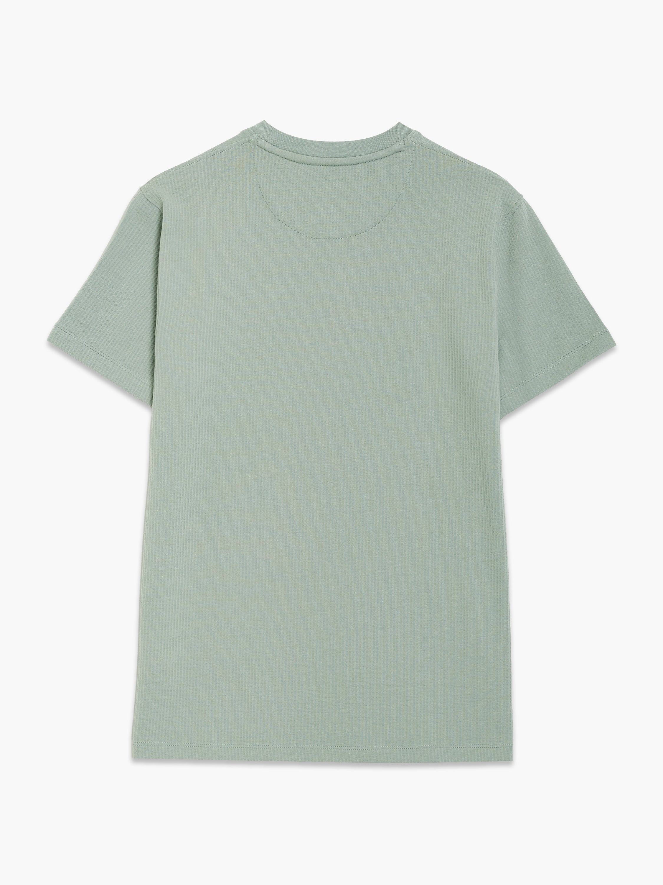 Short Sleeve Micro Seersucker Stripe T-Shirt