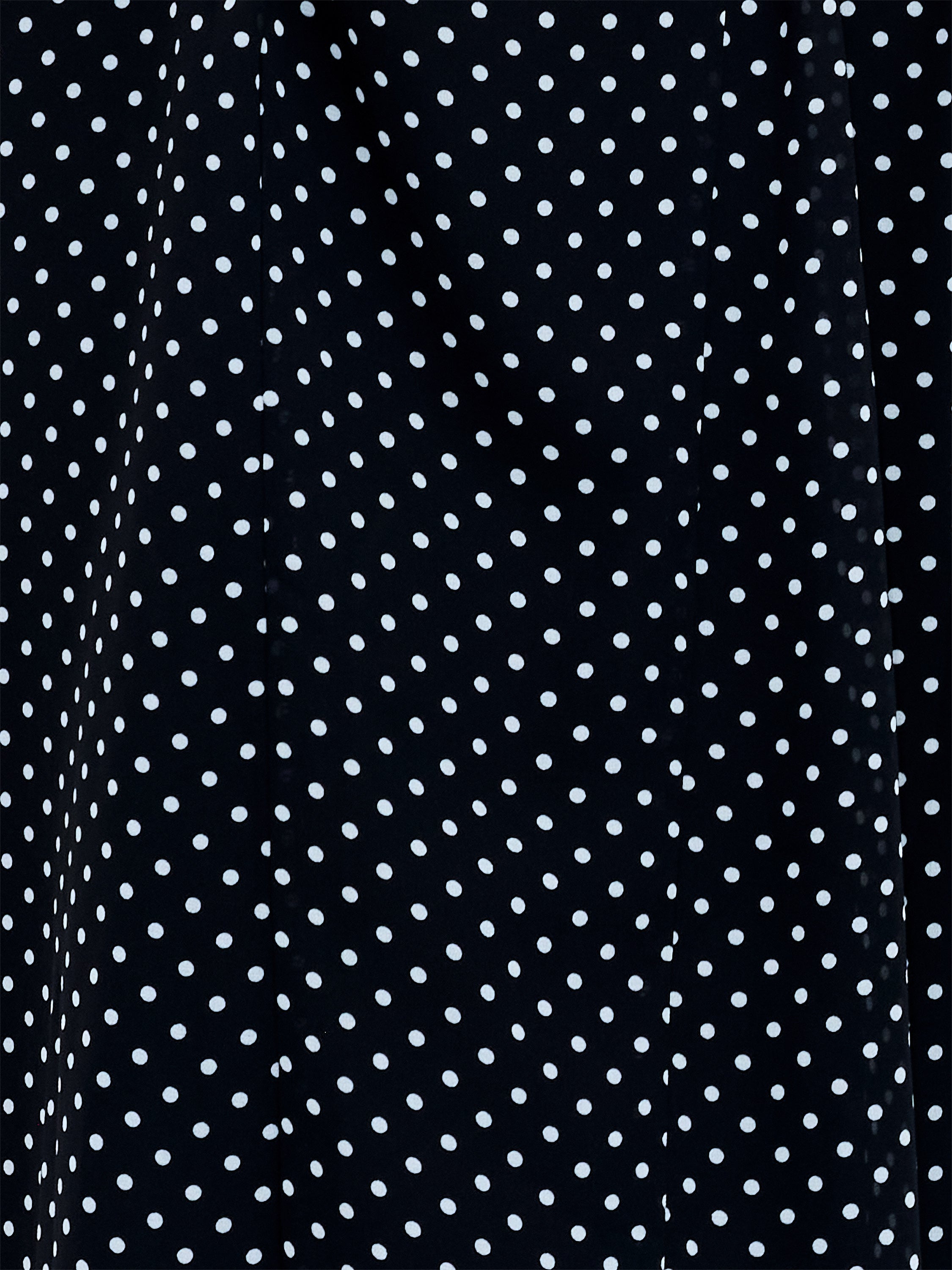Black and White Polka Dot Sleeveless Tea Dress