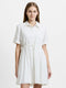 Barnet Cotton Embroidered Striped Mini Dress