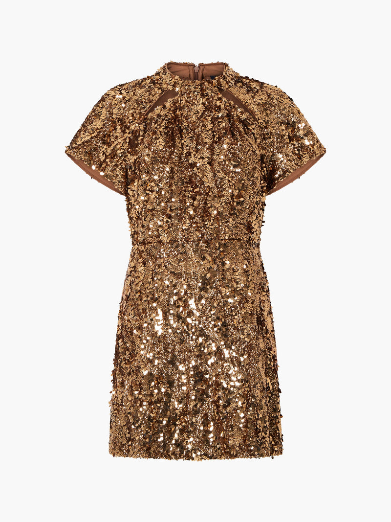 Sequin Mesh Mini Dress