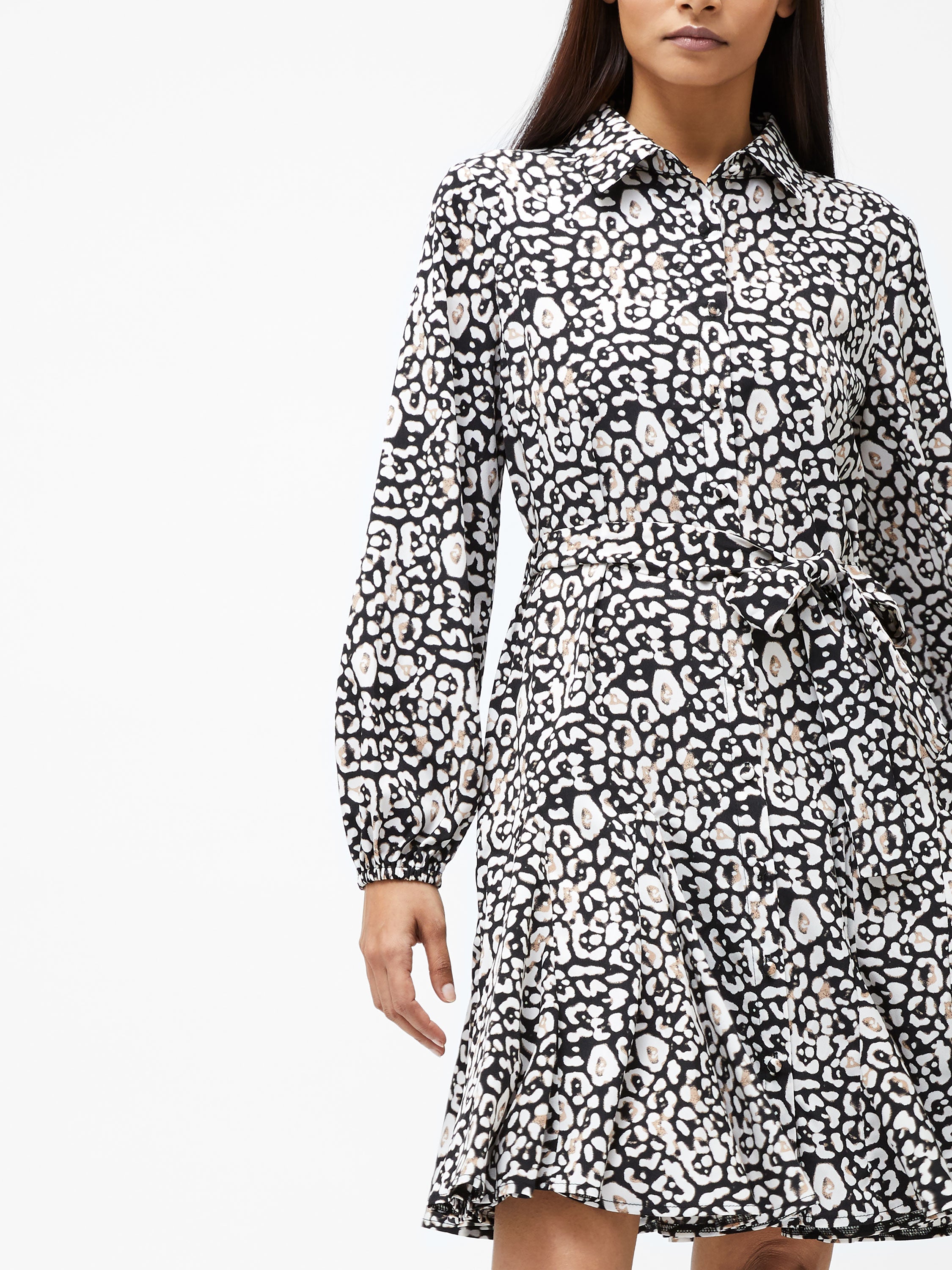 Leopard Print Collared Swing Dress