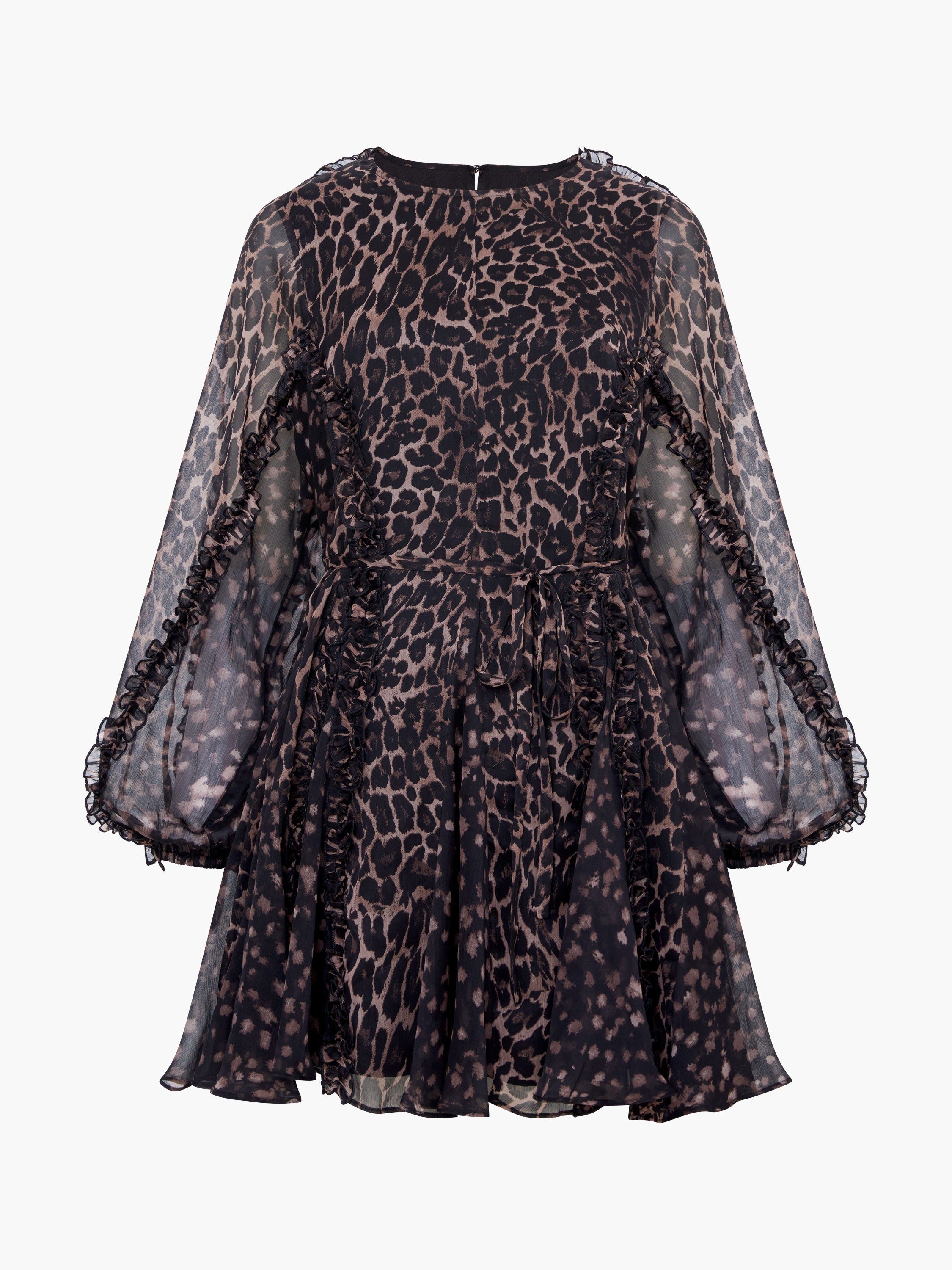 Emina Chiffon Leopard Print Long Sleeve Mini Dress