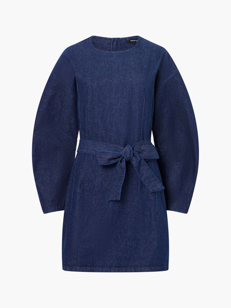 Leighton Denim Banana Sleeve Mini Dress
