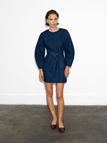 Leighton Denim Banana Sleeve Mini Dress