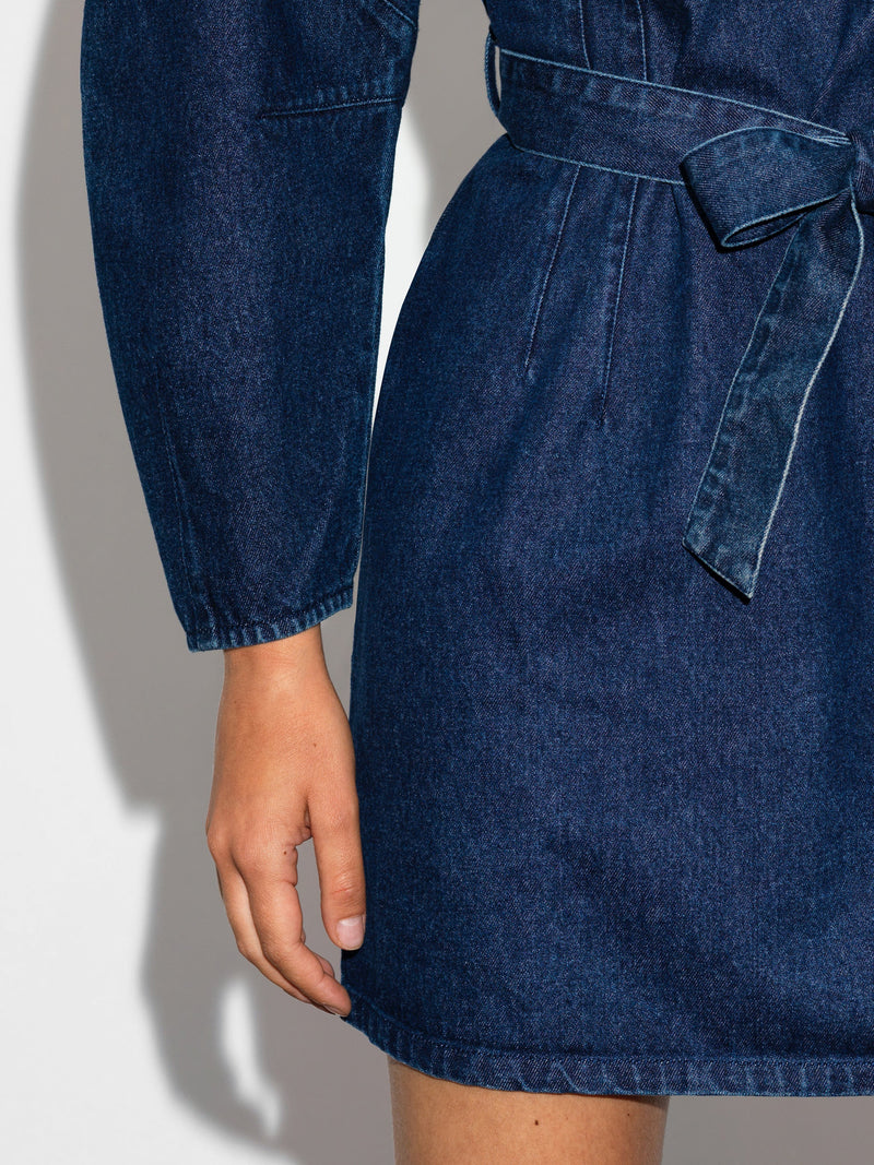 Leighton Denim Banana Sleeve Mini Dress