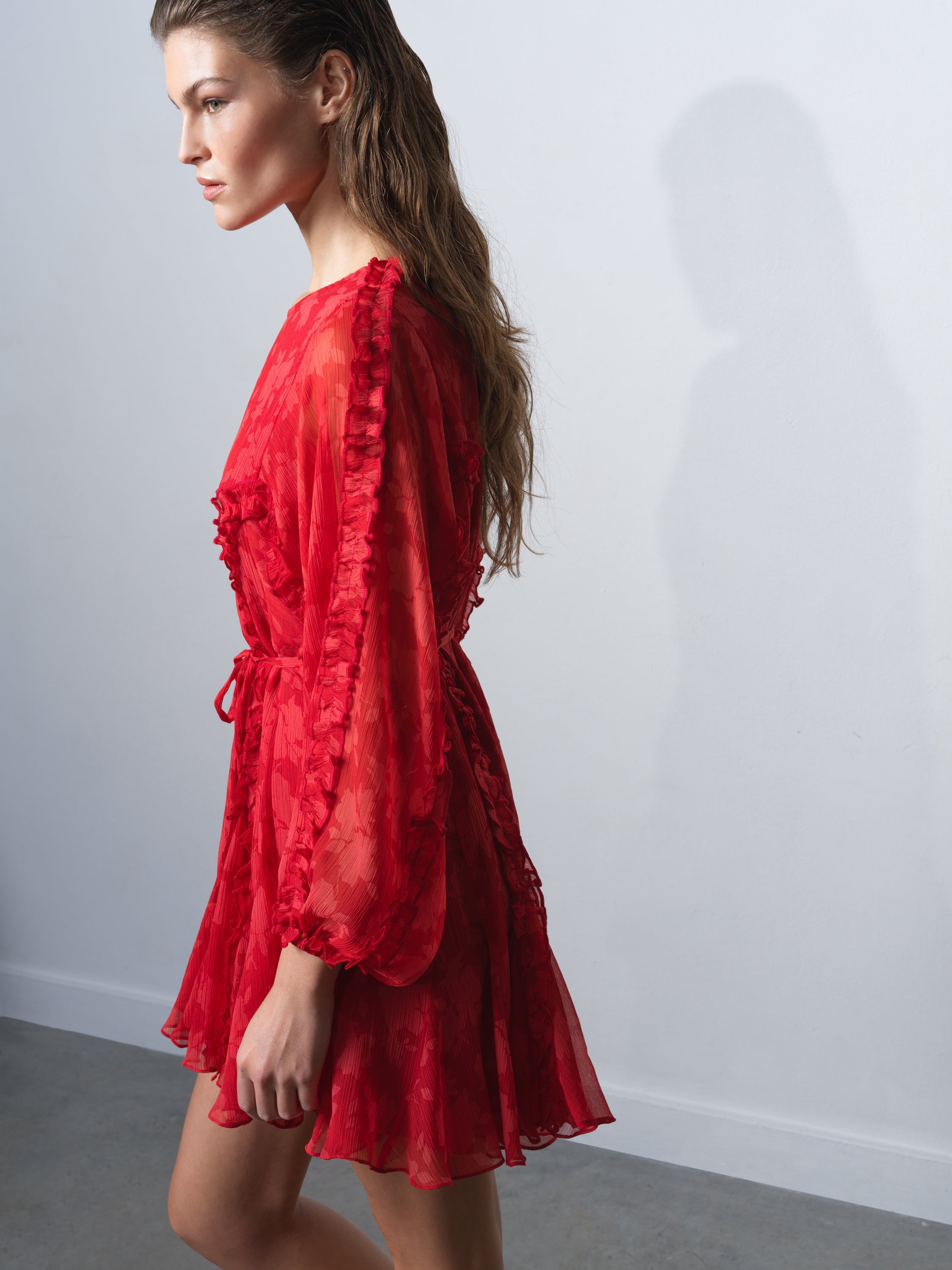 knee length dresses for ladies Kara Print Long Sleeve Flared Mini Dress
