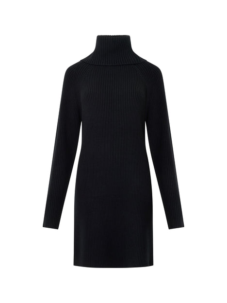Babysoft Roll Neck Ribbed Knit Dress