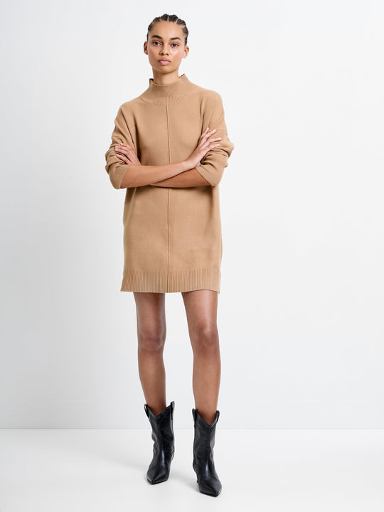 Babysoft Knit Roll Neck Seam Dress