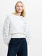 Krista Mix Ruffled Sleeve Jumper