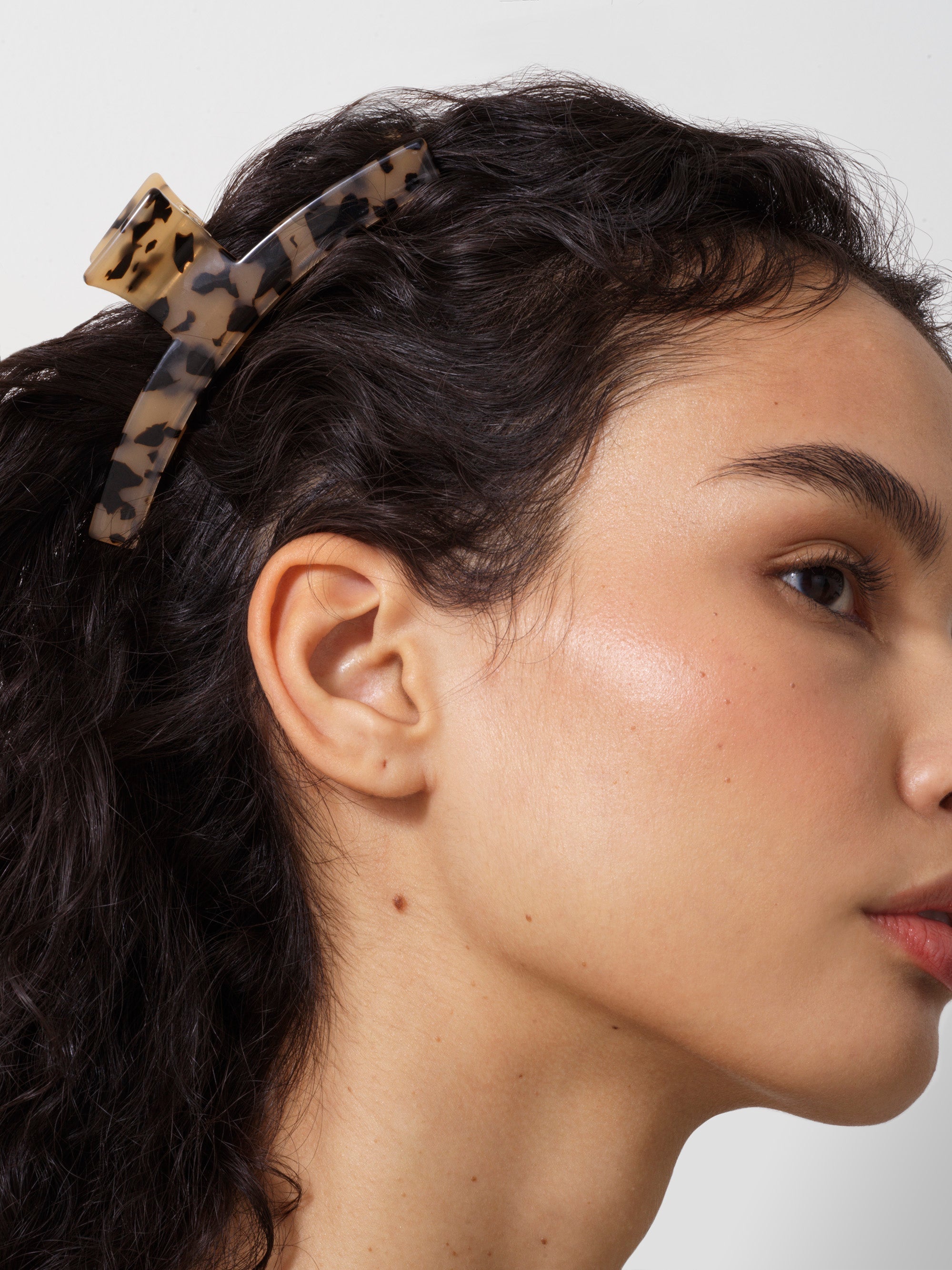 Tortoiseshell Long Claw Hair Clip